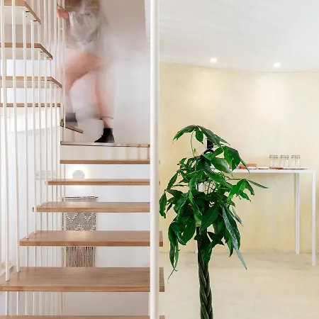 Dear - Living House Bed and breakfast 3*